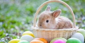 Easter bunny with basket